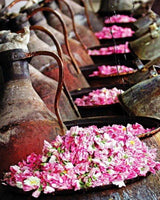 Rose - Kannauj Deg-Bhapka Attar