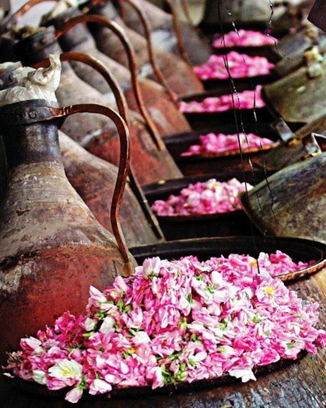 Rose - Kannauj Deg-Bhapka Attar